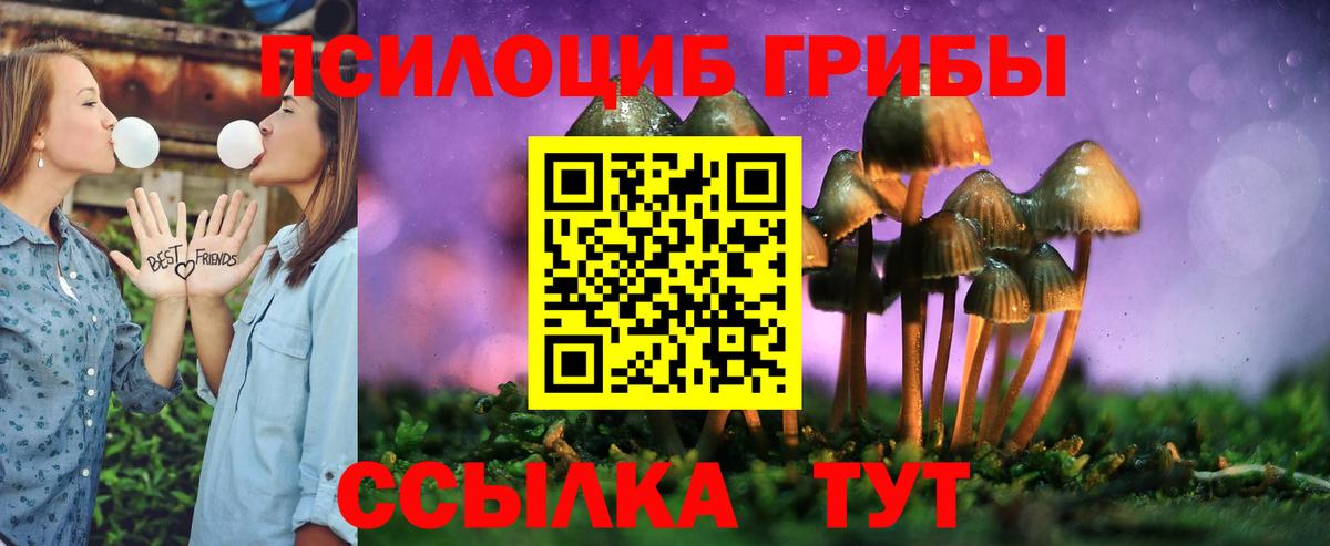 Псилоцибиновые грибы Psilocybine cubensis Радужный