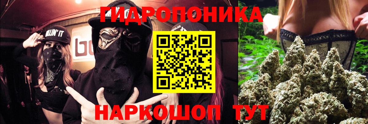 Радужный  Каннабис ГИДРОПОН  МАРИХУАНА сатива  Вход с VPN  Бошки марихуана VHQ 